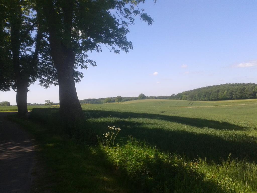 Ostsee Reetkate Langballig 객실 사진
