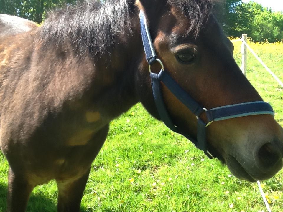 Ostsee Reetkate Langballig 외부 사진