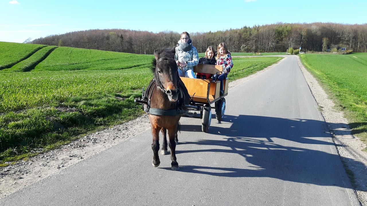 Ostsee Reetkate Langballig 외부 사진